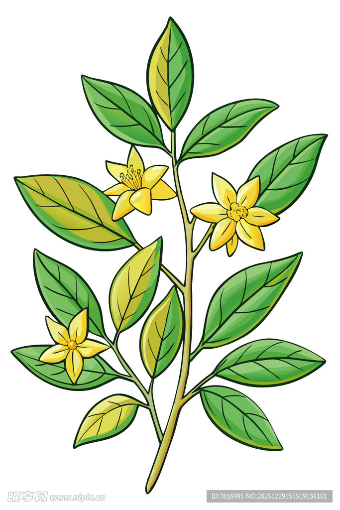 黄色小花绿叶植物插画