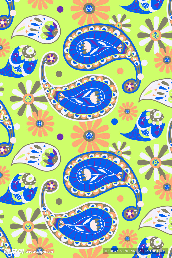 多彩佩斯利花纹图案