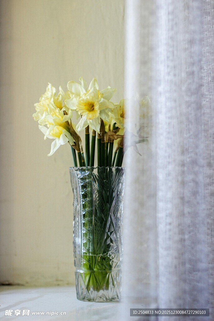 花瓶中绽放的黄色水仙花