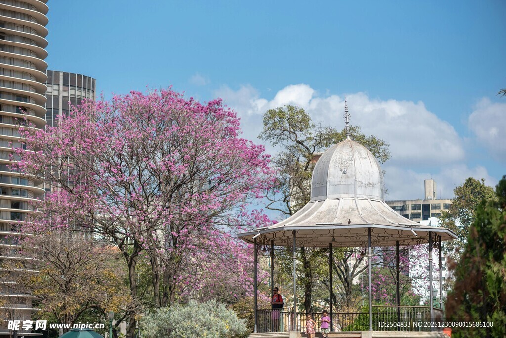 春日繁花环绕的古典凉亭