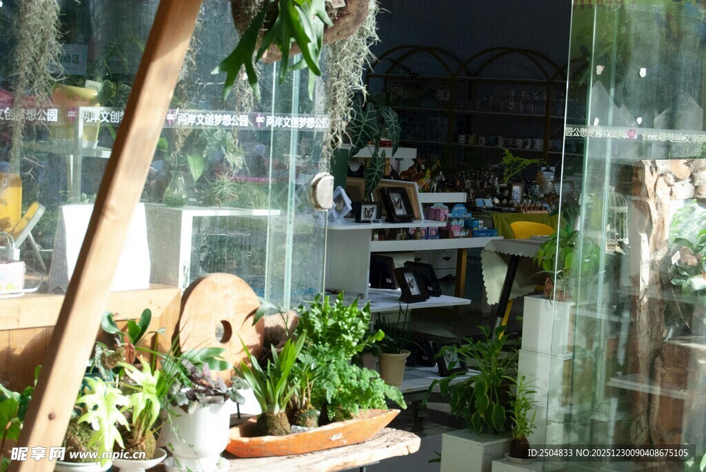 室内绿植装饰一角