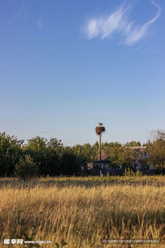 金黄田野与远处水塔景观