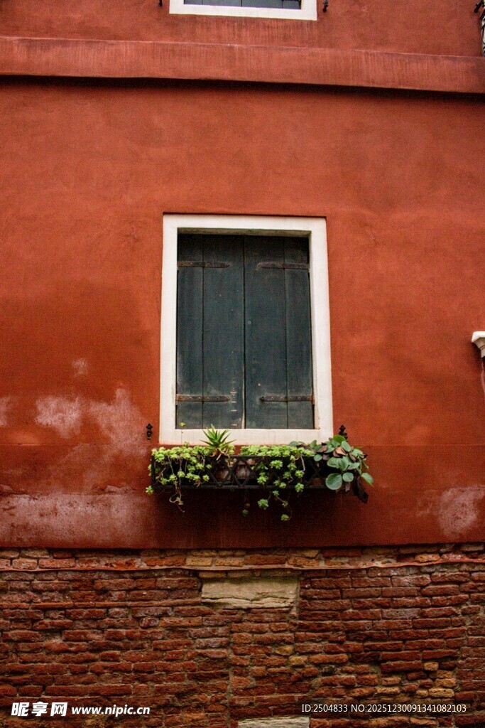 红墙窗边的绿植景致