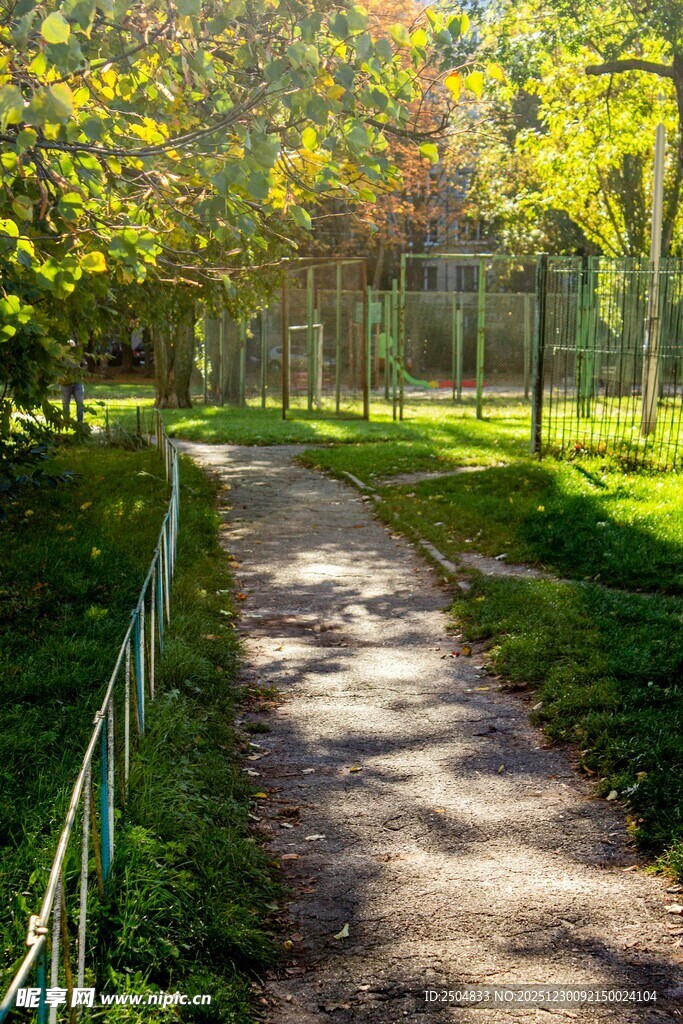 秋日林间幽静小径