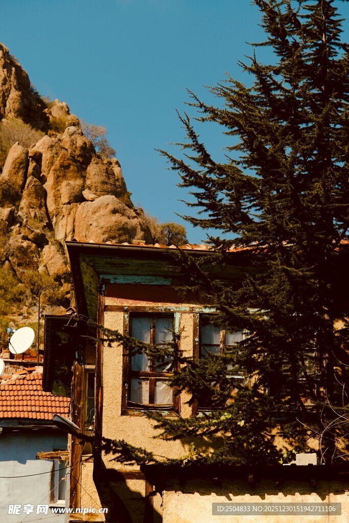 山间小屋旁的挺拔松树