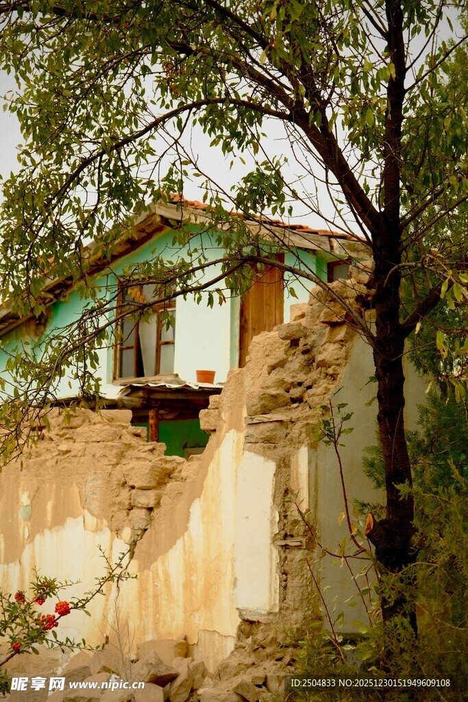 老旧房屋旁的树木与土墙