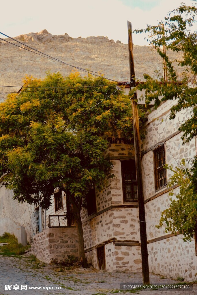 古朴乡村小屋旁的繁茂绿树