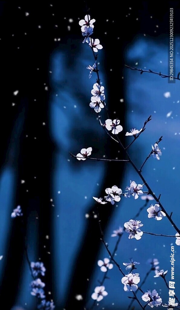 蓝幕下绽放的美丽花朵