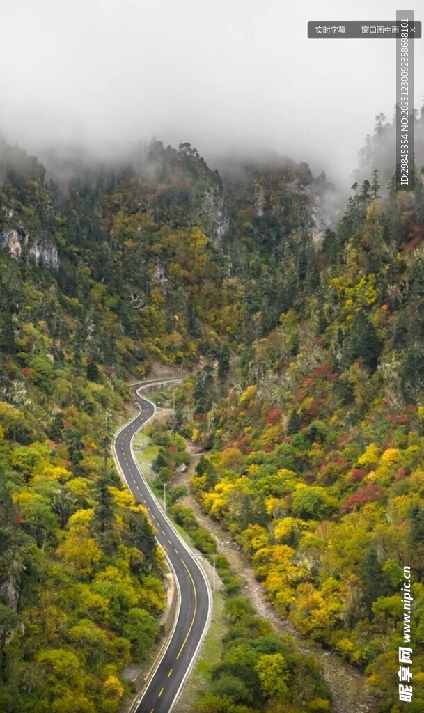 山间蜿蜒公路秋景如画