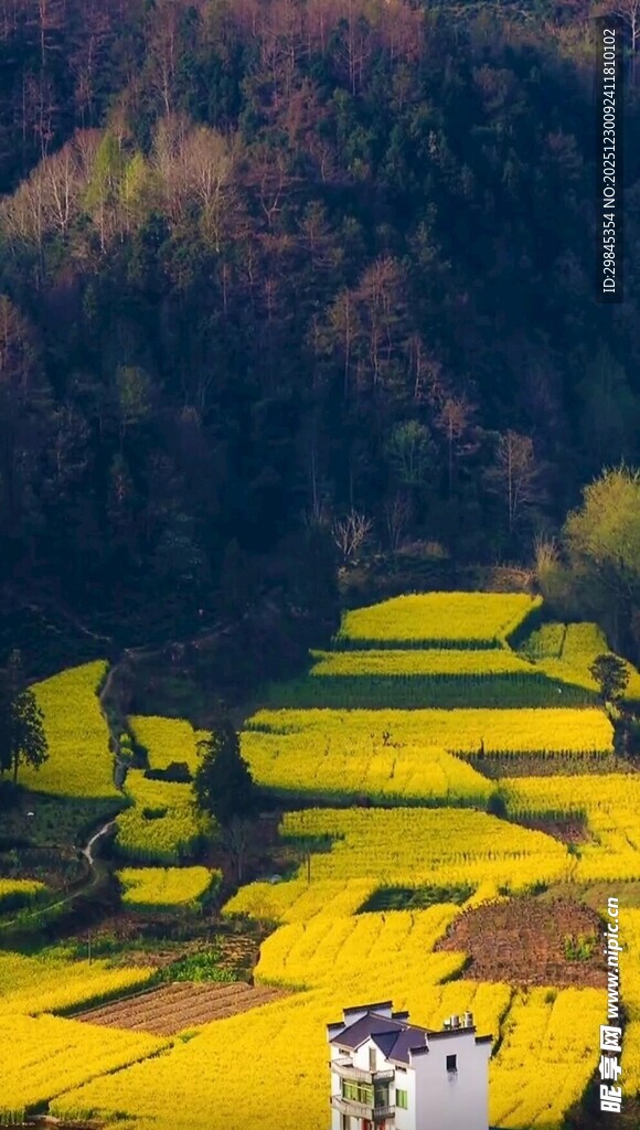 秋日金黄田野中的小屋
