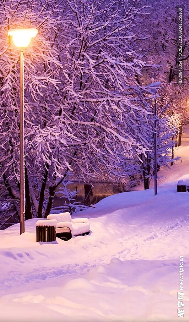 雪夜路灯下的静谧雪景