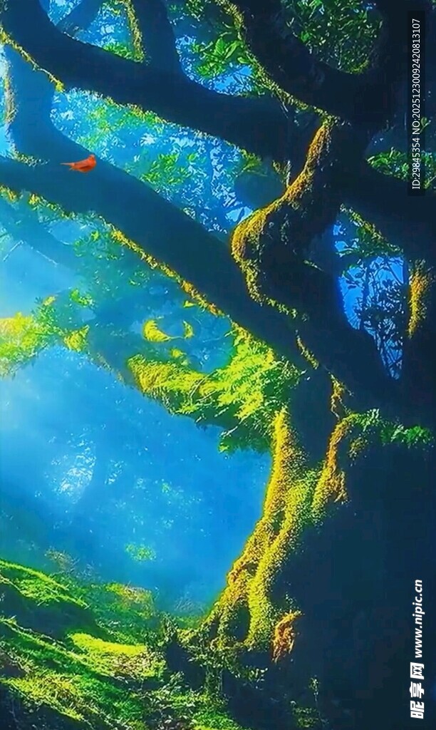 梦幻森林中的阳光树影