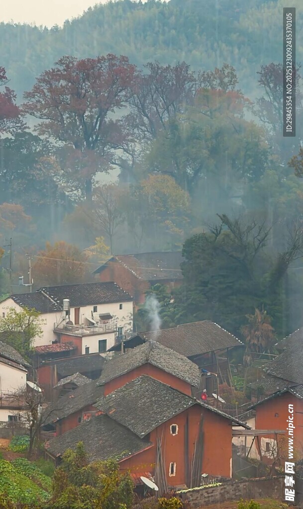 秋日雾中乡村景致