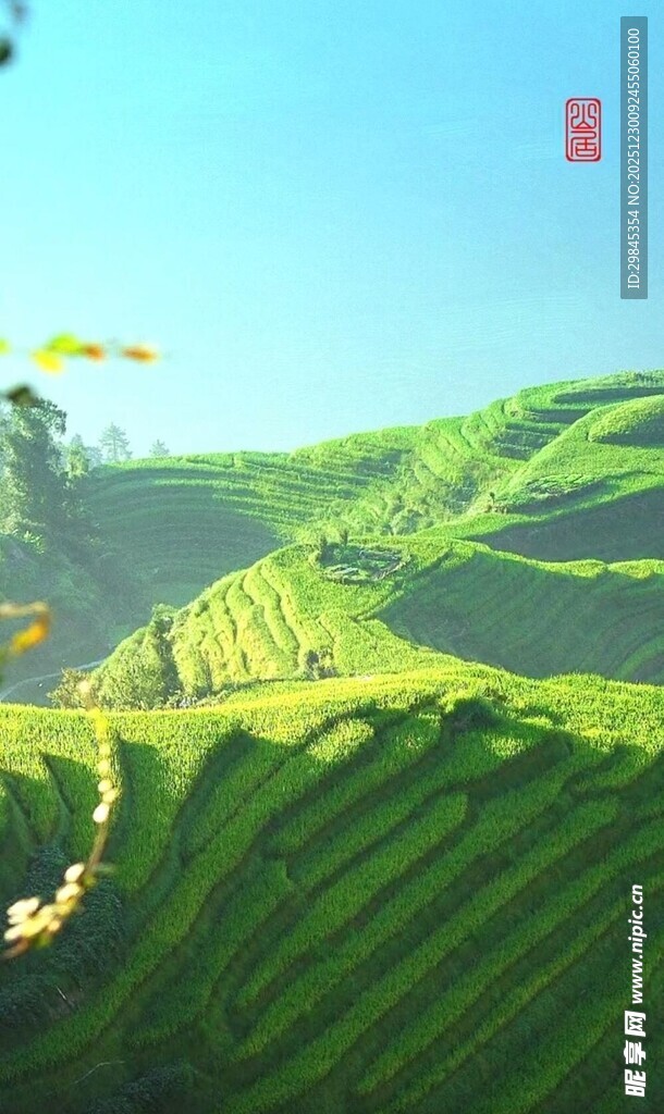 翠绿山丘上的奇幻飞行景观