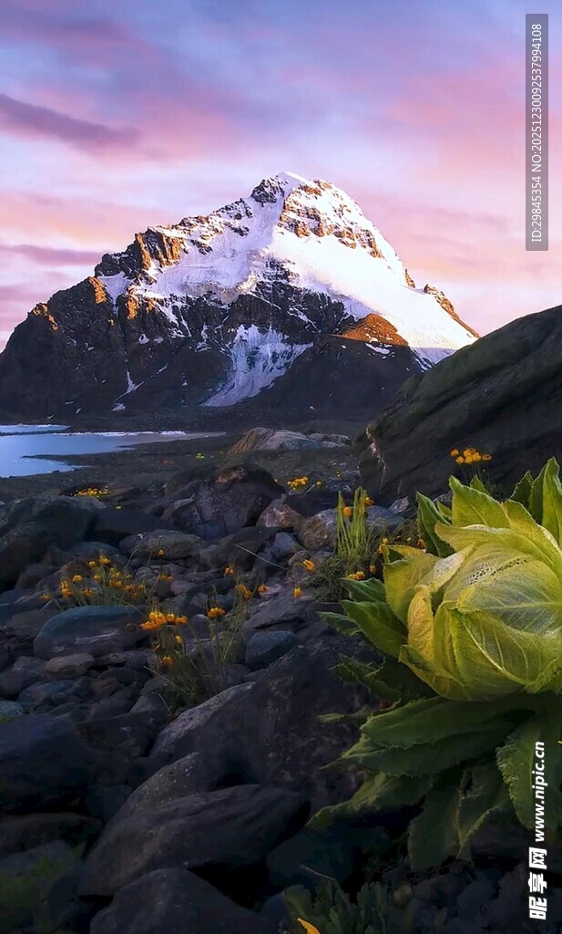 雪山下的壮美自然景观