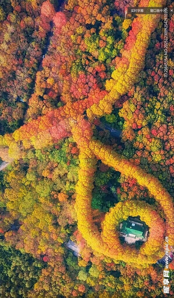 秋日田园多彩螺旋景观