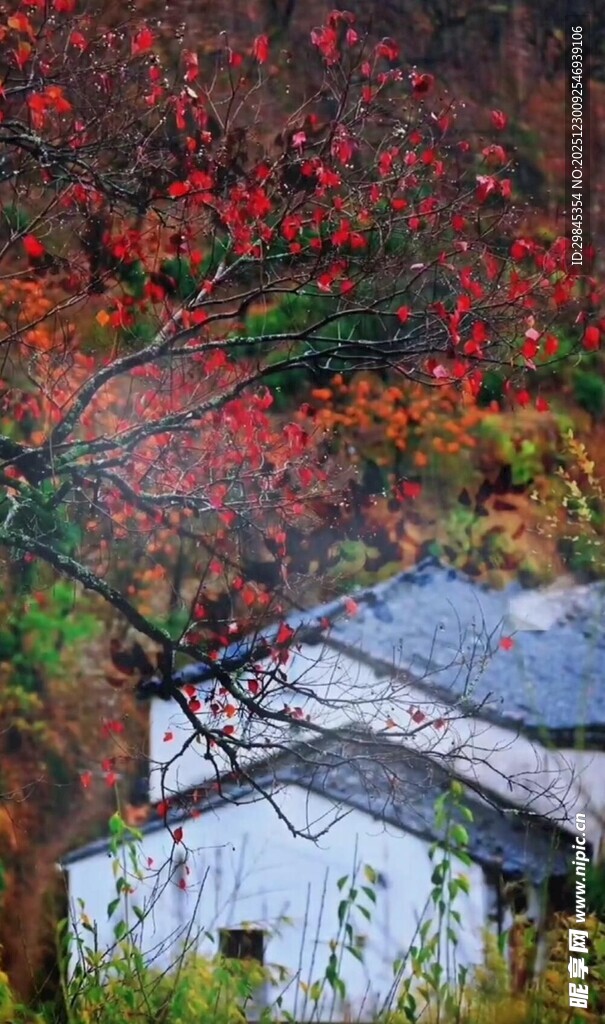 秋日红树旁的静谧小屋