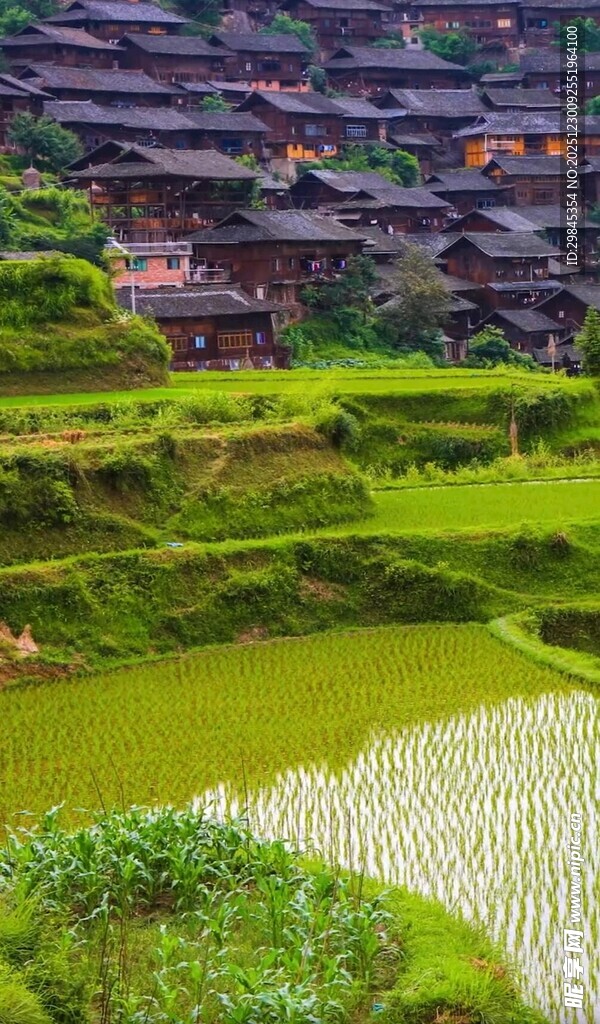 苗寨梯田美景