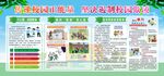 校园活动宣传展板展示