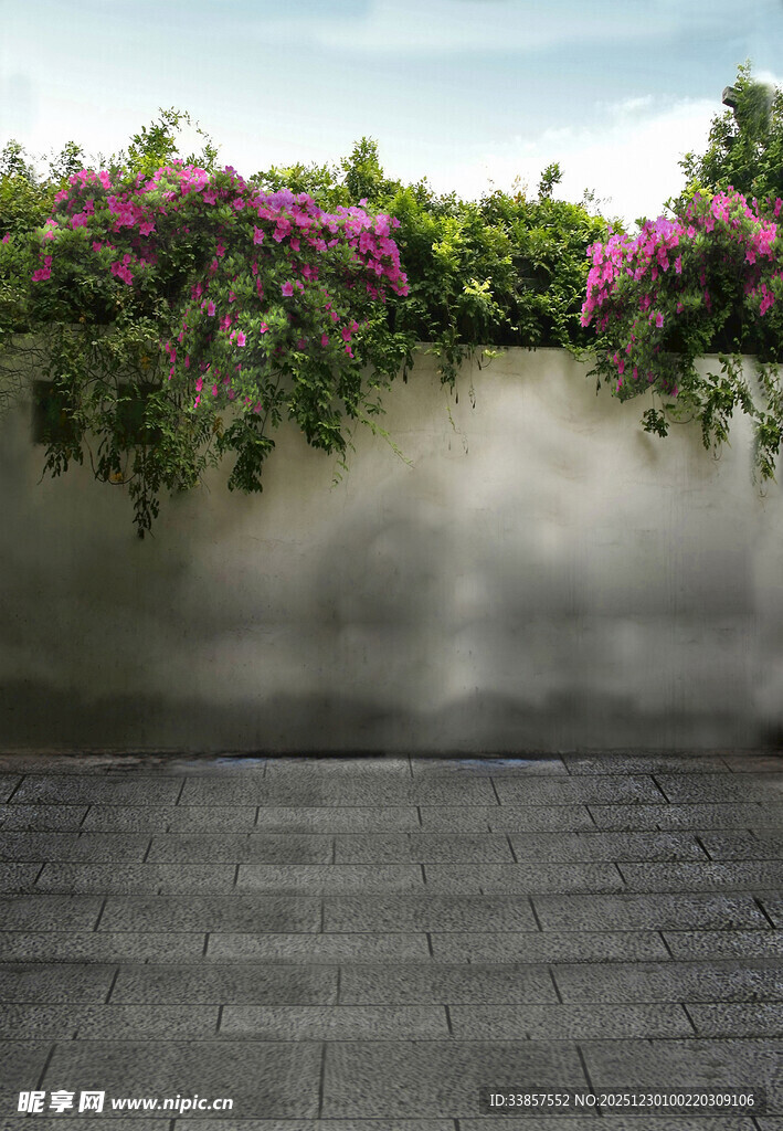 墙边繁花盛开的户外景致