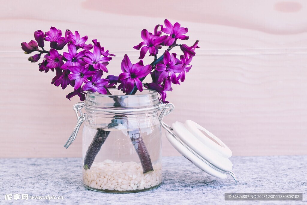 玻璃罐中的紫色花卉