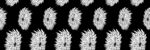 黑白花卉图案纹理背景