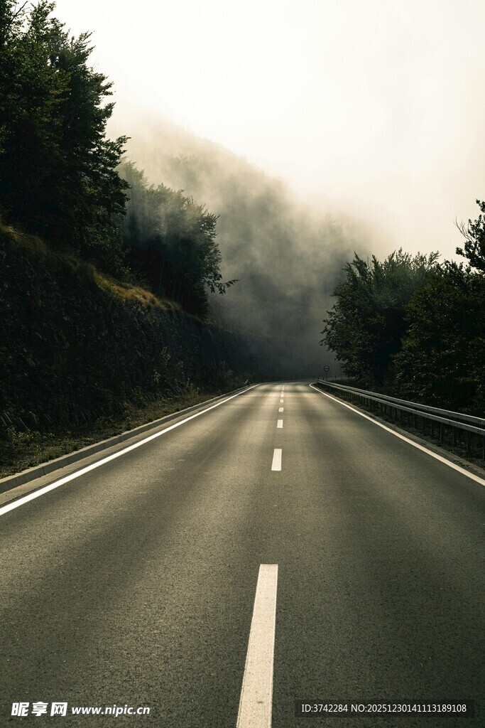 雾中公路 前路朦胧