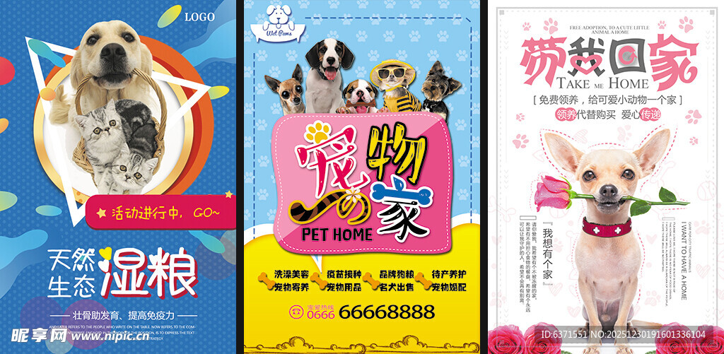 宠物食品促销海报