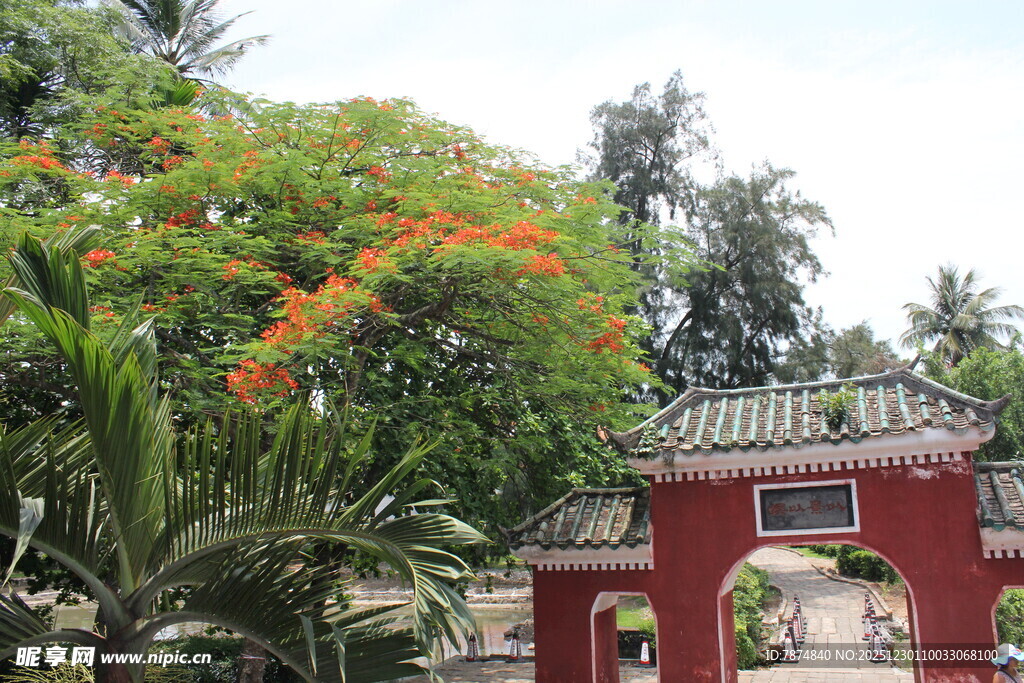 中式拱门旁繁茂绿植景观