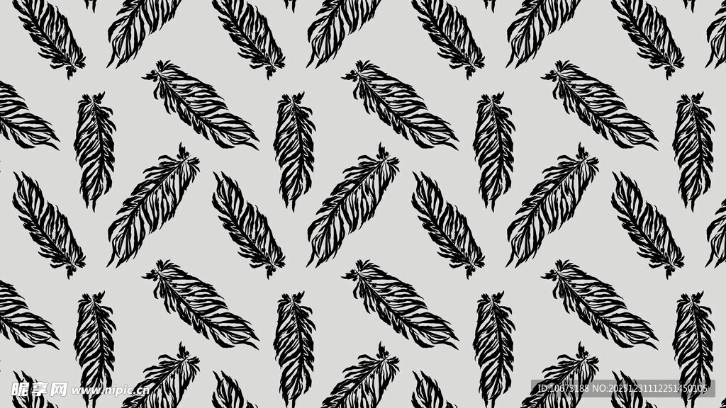羽毛图案背景纹理