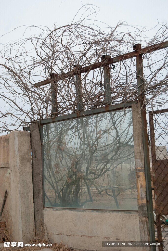 废弃藤蔓缠绕的破旧围栏