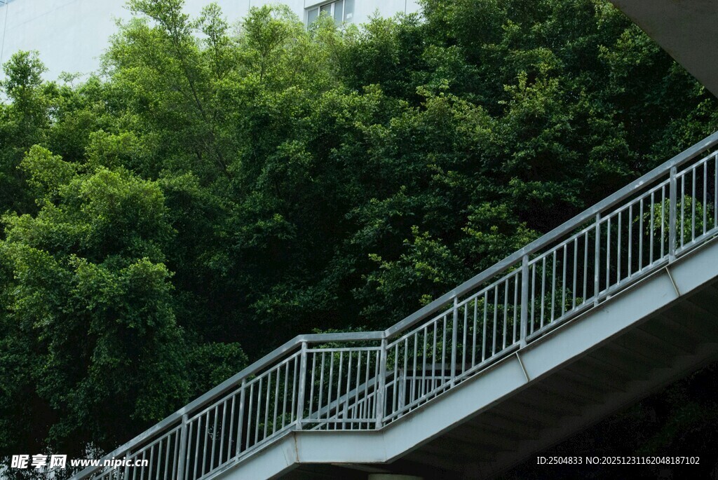 户外绿植旁的金属楼梯