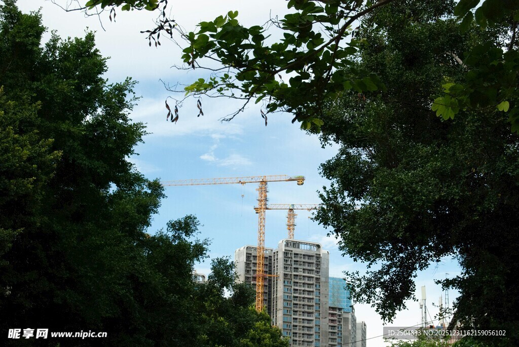 绿树掩映中的在建高楼