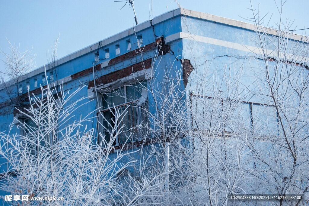 冬日覆雪的建筑与树木
