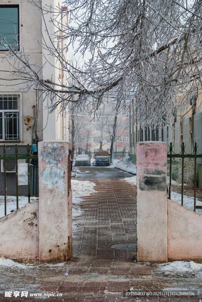 冬日雪覆小区门前小路