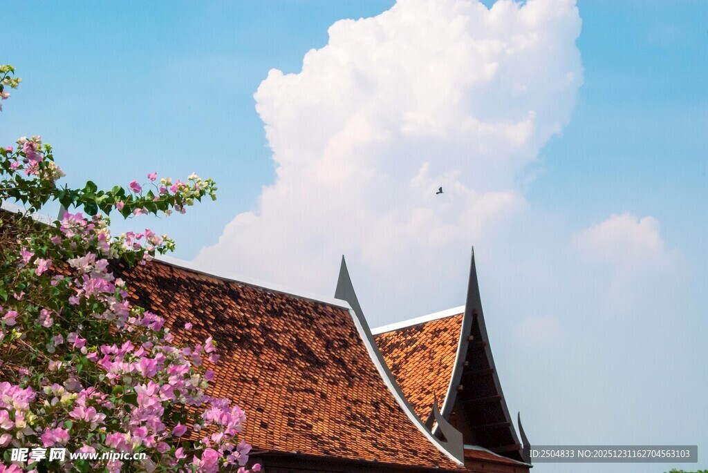 屋顶与繁花映衬的美丽景致