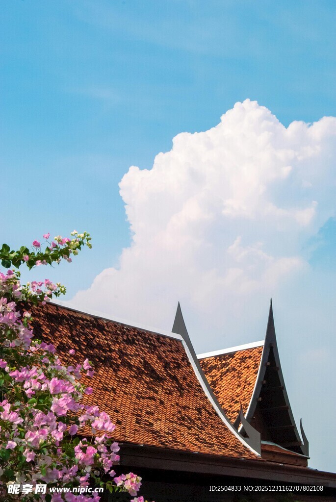 屋顶上的蓝天与烂漫繁花