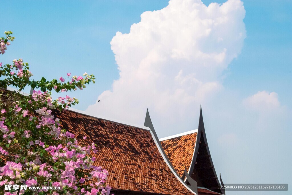 屋顶旁绽放的烂漫繁花