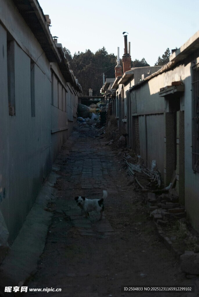 狭窄小巷中的民居景象