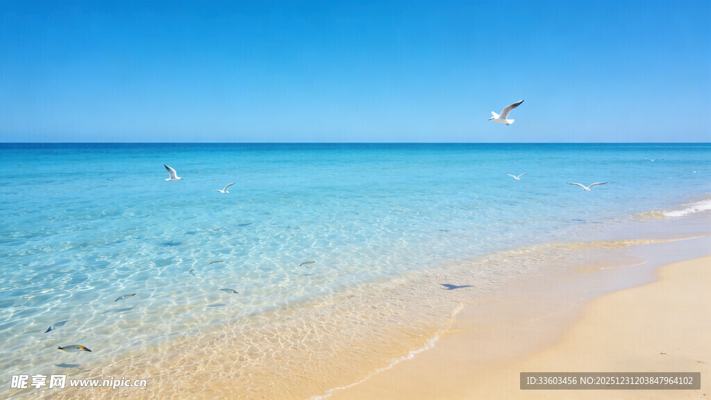 美丽海滨沙滩海景风光