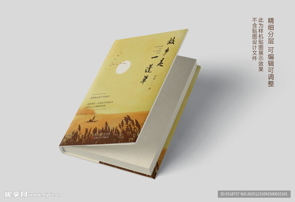 书籍展示样机效果图