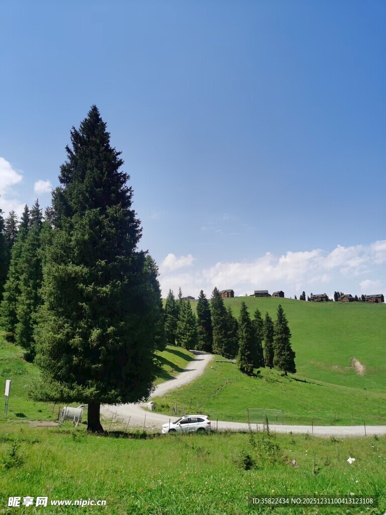 山间翠林 蜿蜒小路通幽处