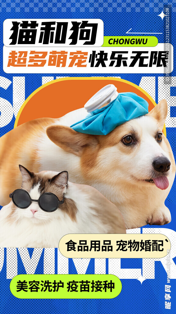 猫狗欢乐趣时光海报