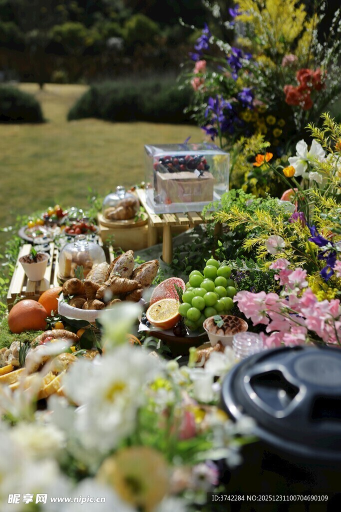花园中的精致野餐布置