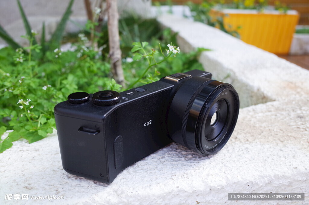黑色相机置于绿植旁
