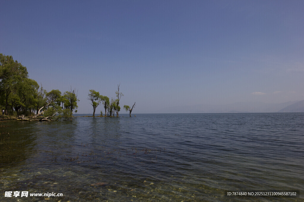 湖畔风光 宁静湖水与绿树