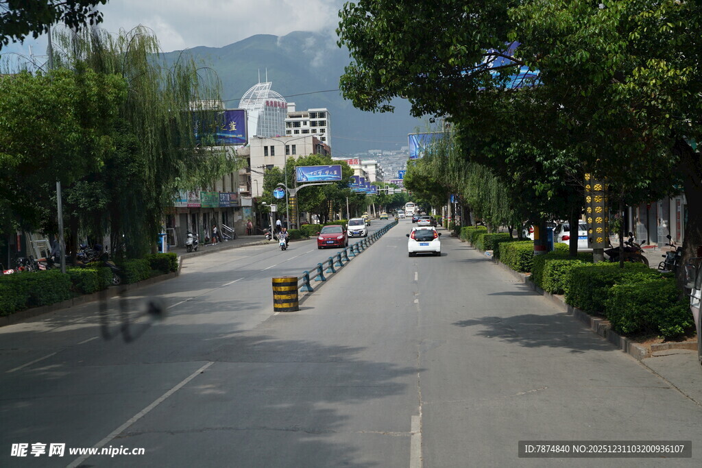 城市街道绿树成荫景象