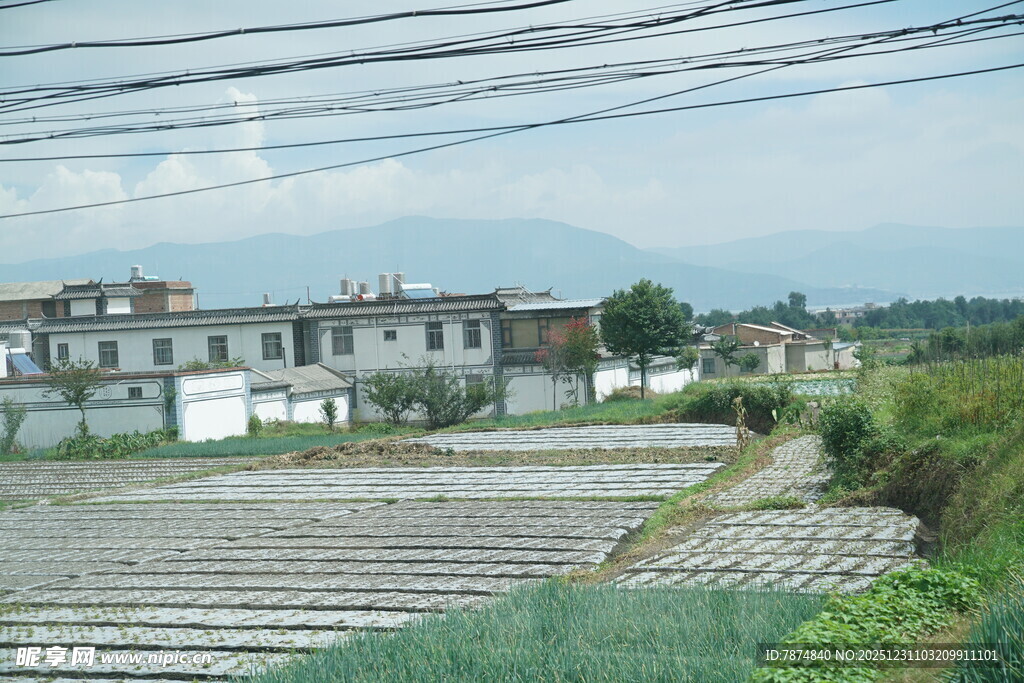 乡村田园风光 宁静村落