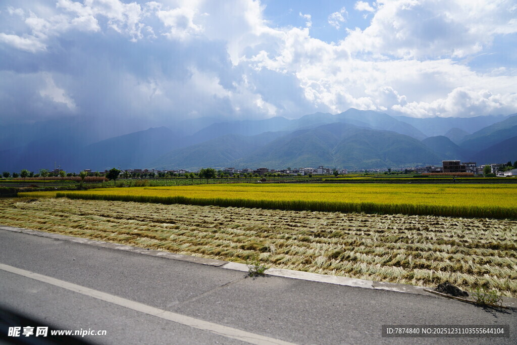 公路旁的田野与蓝天白云
