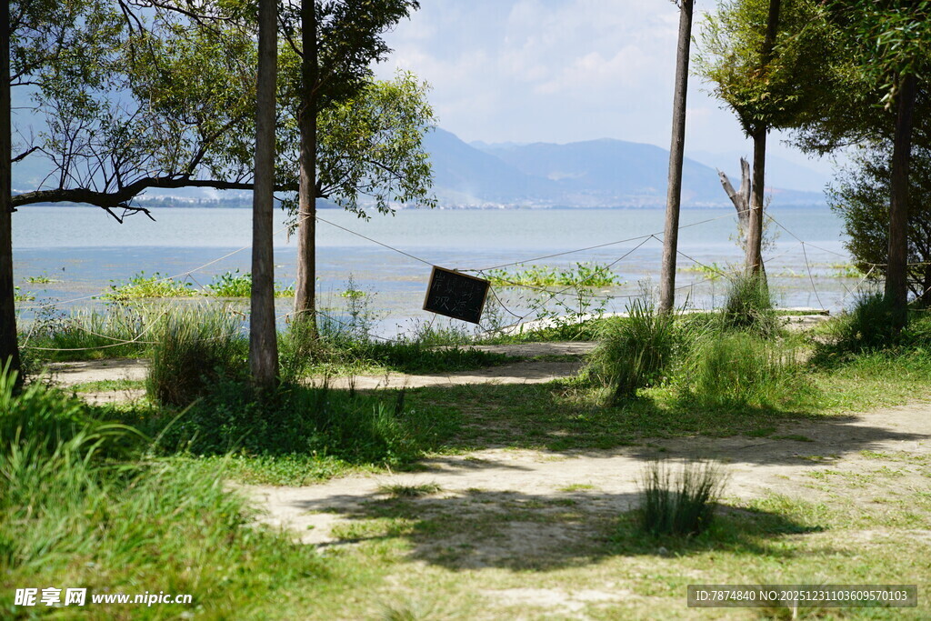 湖畔林间的休闲吊床